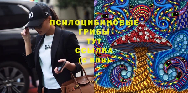 спиды Армянск