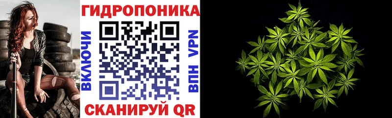 Бошки Шишки VHQ  Пикалёво 